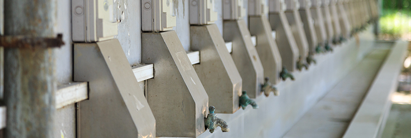 飲用水質檢測/監測