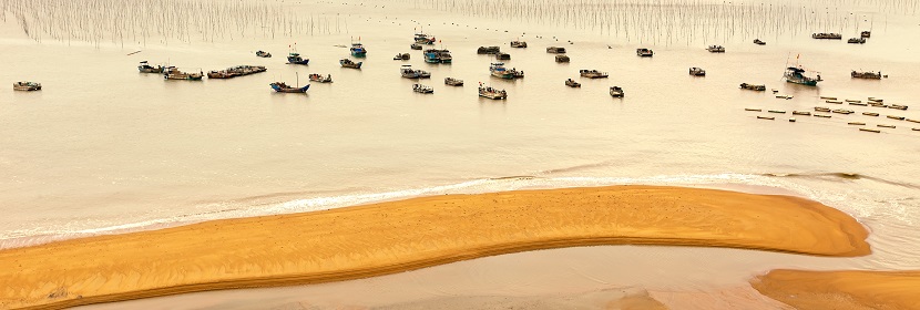 土壤鹽漬化監測